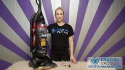 Replacement Style S Vacuum Drive Belts, Fits Eureka, Compatible With Part 84756 -Best Filter Shop vacuum floor care 2 eureka style s vacuum drive belts part 84756 5