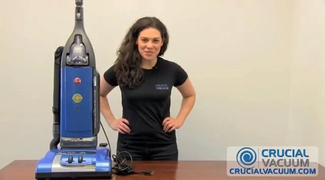 Replacement Type Y Windtunnel Paper Bags, Fits Hoover, Compatible With Part 4010100Y 8 Replacement Type Y Windtunnel Paper Bags, Fits Hoover, Compatible With Part 4010100Y - Image 6