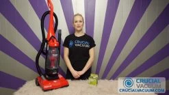 Replacement F66 Filter & Foam, Fits Dirt Devil, Compatible With Part 304708001 -Best Filter Shop vacuum floor care f66 dirt devil filter foam part 304708001 2